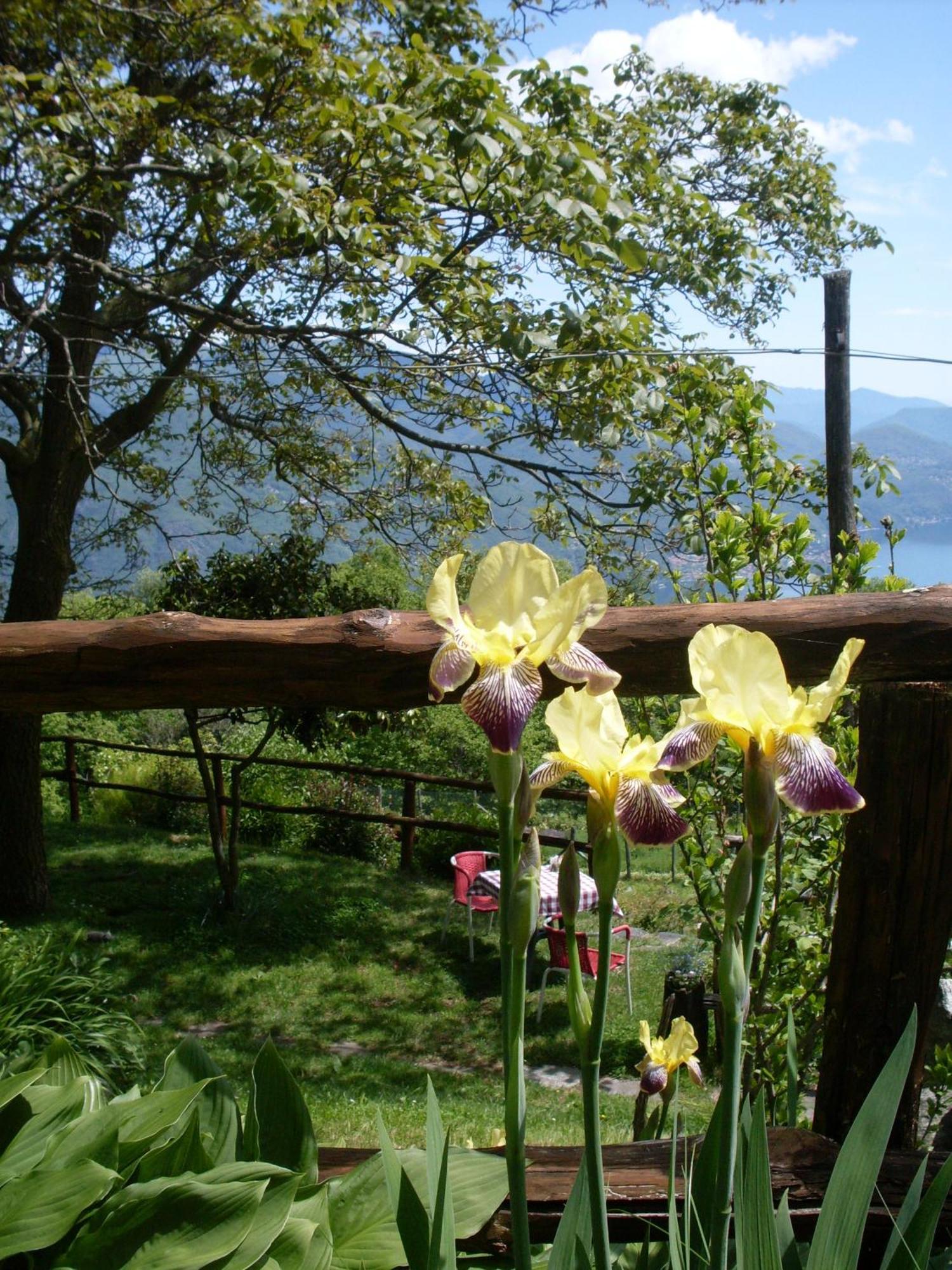 Agriturismo Da Attilio Cannobio Eksteriør bilde