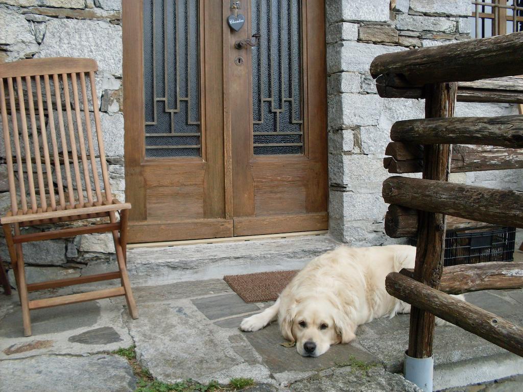 Agriturismo Da Attilio Cannobio Rom bilde