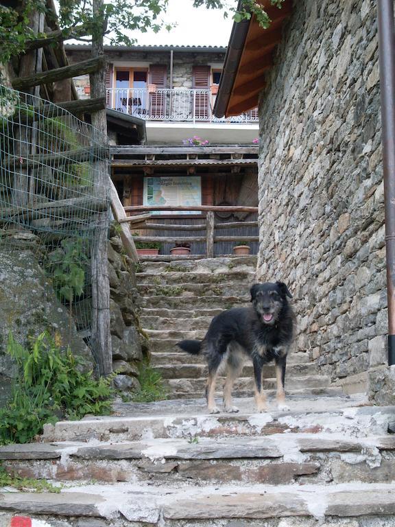 Agriturismo Da Attilio Cannobio Eksteriør bilde